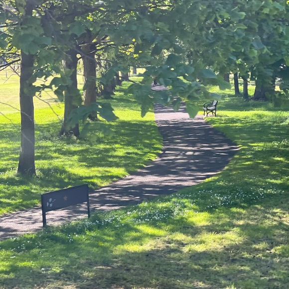 26. Ecco Fluid Form Tennis Shoes / Sneakers in Off White, Cyan, and Peach - Picture 12 of 12